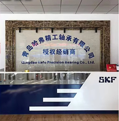 Porcellana Qingdao Haver Seiko Bearing Co., Ltd.