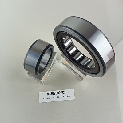 Cintura di cilindro a rulli a fila singola 45*100*25mm NU/NJ/NF309ECP con lubrificazione a olio