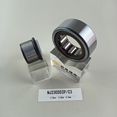 25*62*24 mm cuscinetto a rulli cilindrico NU/NJ/NF2305ECP con struttura cilindrica